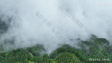 云雾缭绕森林群山顶乡村山川云海